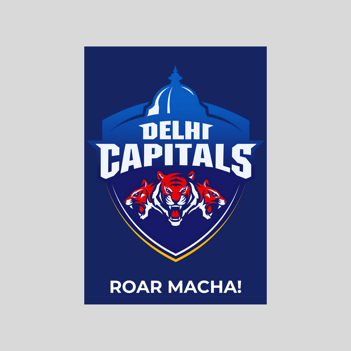 Delhi Capitals Poster Houseofmagnetic
