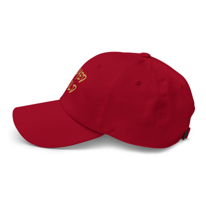 Played Bold RCB Cap – IPL 2025 Inspired | Cricket Fan Cap | Unisex Adjustable | House of Magnetic HOUSE OF MAGNETIC
